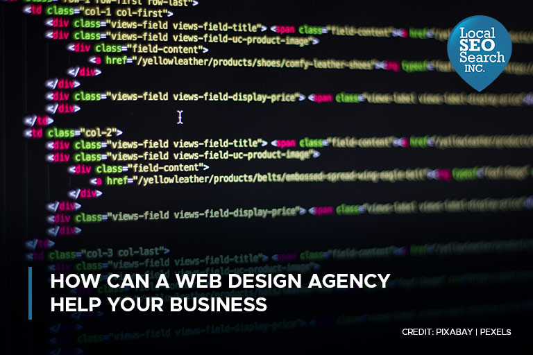How Can a Web Design Agency Help Your Business
